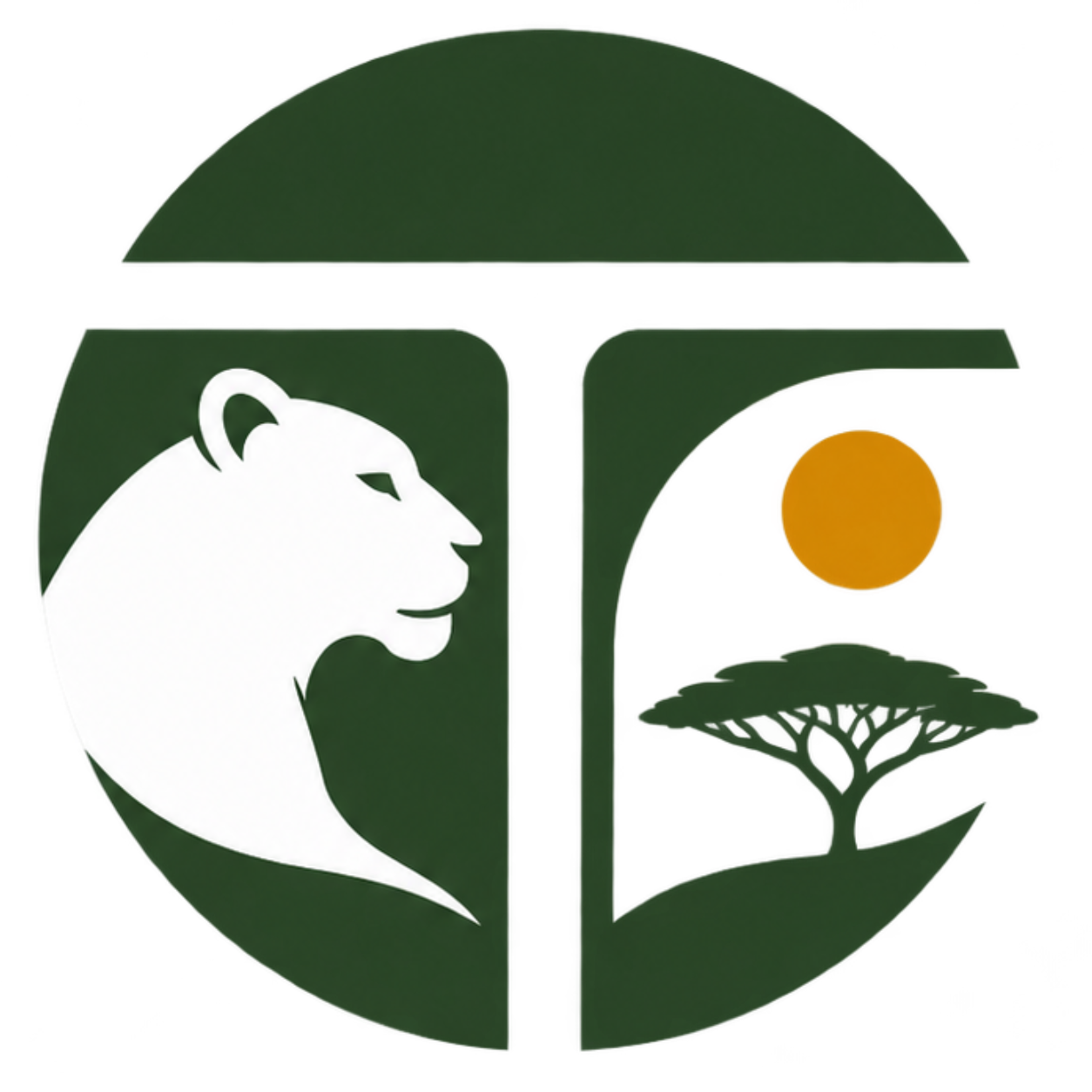 Todo Wild Tours and Safaris