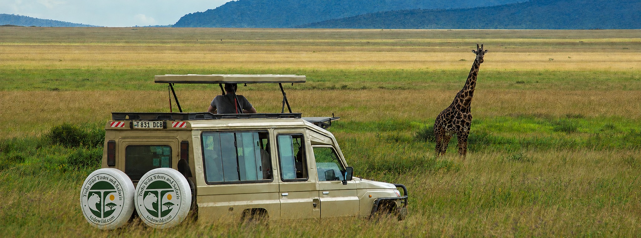 Todo Wild safari vehicle beside a giraffe in Tanzania