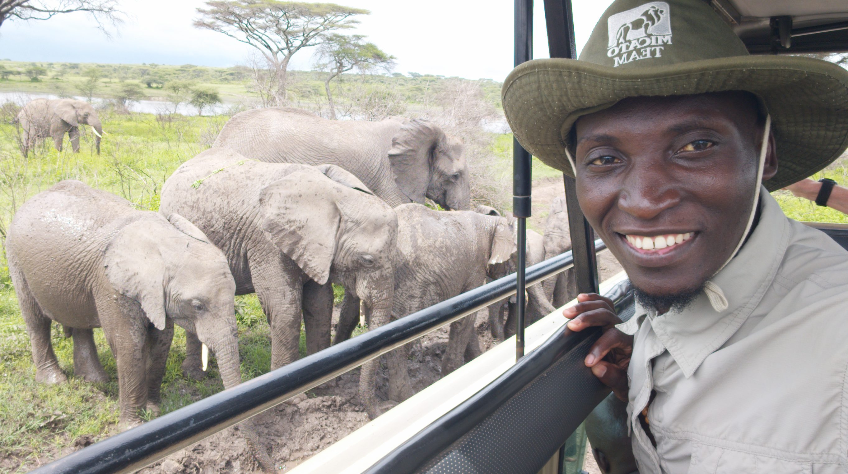 Todo Wild safari guide viewing elephants in Tanzania