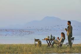 Best Tanzania Safari for Seniors: Comfort, Pace and Smart Route Planning