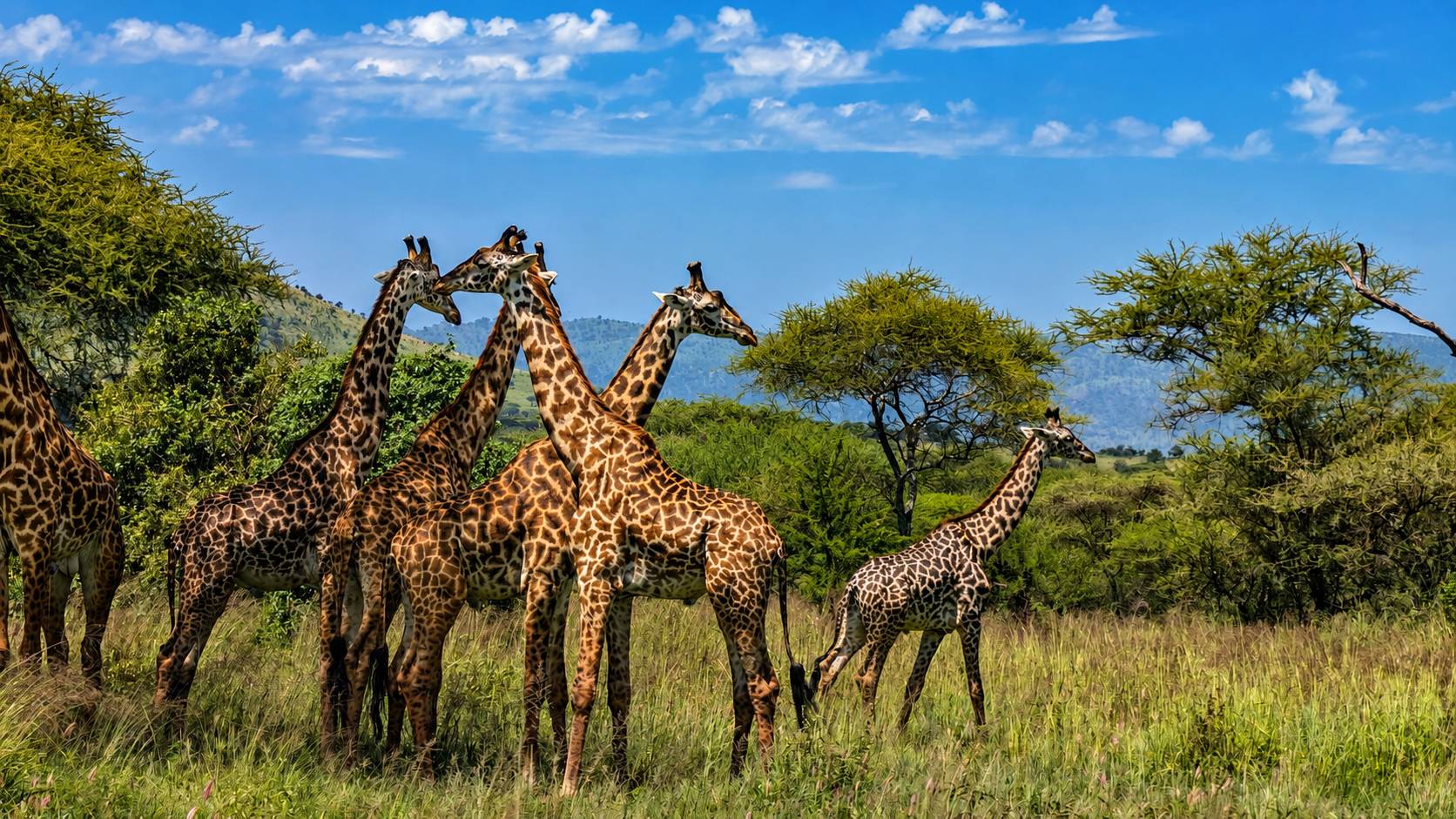 6-Day Serengeti Deep Dive Safari