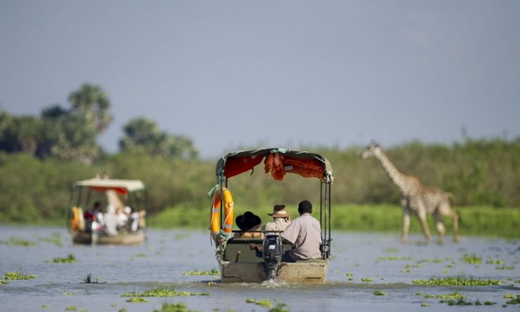 Nyerere National Park