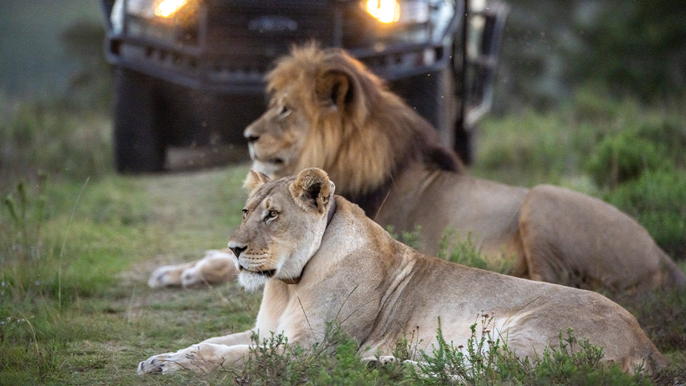 Northern & Southern Tanzania