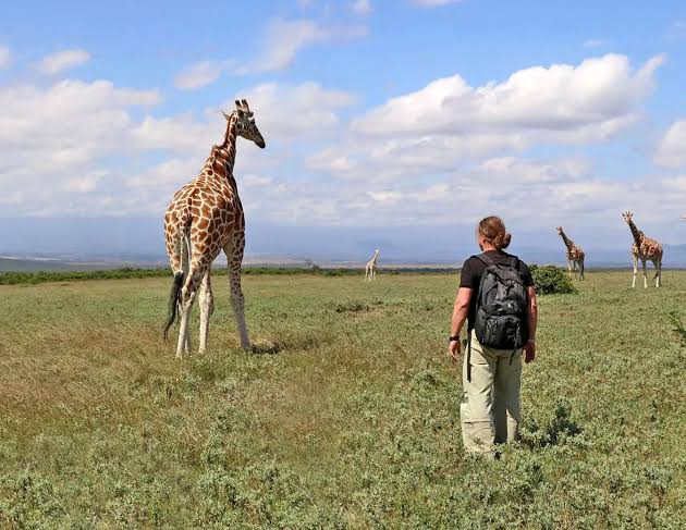 Arusha National Park