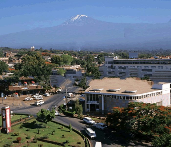 Moshi Town & Local Market Tour